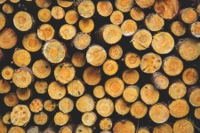 Achtergrondpatroon Wood Textures
