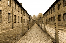 Todeslager Auschwitz