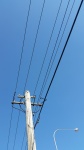Australian Power Pole