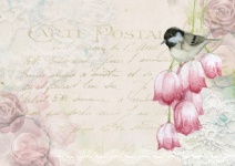 Achtergrond Scrapbook Roze Tulpen