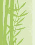 Bambus-Hintergrund-Tapete