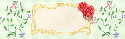 Web Banner flores románticas