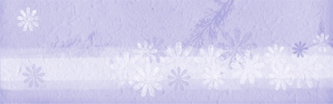 Banner Web Romantisk lila blomma
