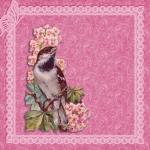 Bird, virágok Vintage háttér