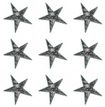 Black diamond stars