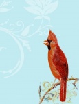Cardinalul Bird pe Sucursala