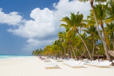 Karibisk strand med palmer