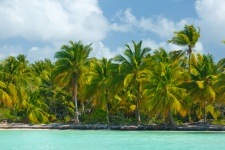 Karibik-Insel Küste