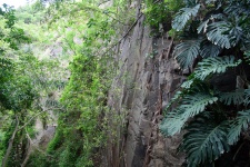 Cliff Face And Vegetation