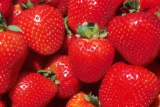 Close-up van aardbeien