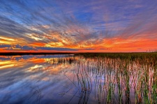 Kolorowe Everglades słońca