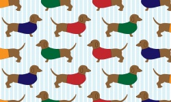 Teckel Dogs Wallpaper