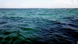 Mély kék tenger