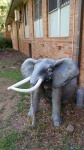 Elefant på hörnet