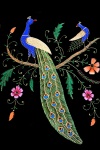 Embroidered peacock