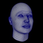 Face wireframe