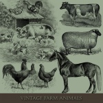 Conjunto animales de granja ilustración