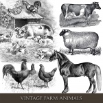 Tiere auf dem Bauernhof Weinlese Clipart