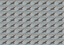 Flying duck wallpaper