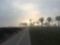 Foggy Santa Barbara