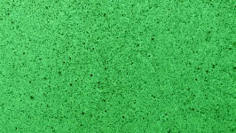 Green Speckled Background