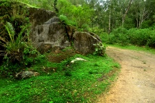 Hill station in monsoon 7