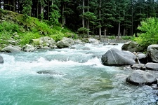 Himalayan creek 10