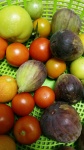 Home Grown Organic Fruit