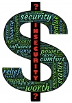 Insecurity Dollar Symbol