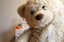 Aranyos Teddy Bear