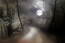 Misty holdfényes éjszaka