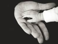 Apa gazdaság baba kéz