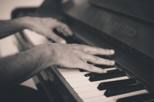 Photo Pianist, Piano, Music