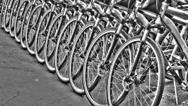 Riga delle biciclette