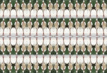 Rows of stork birds wallpaper