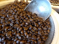 Scoop In Coffee Beans
