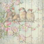 Scrapbook Hintergrund Vögel Papier