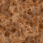 Seamless fur pattern 05
