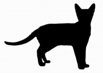 Silhouette gatto