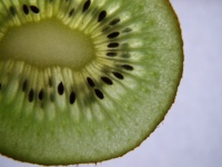 Rebanada de fruta de kiwi