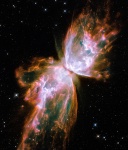 A Butterfly a Galaxies
