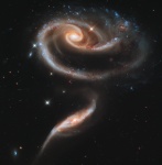 Die Rose geformt Galaxies