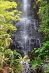 Tropical garden with waterfall