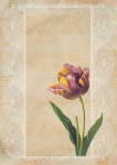Fiore tulipano collage vintage