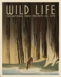 Vintage cartel de la vida salvaje