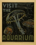 Visitez l'Aquarium
