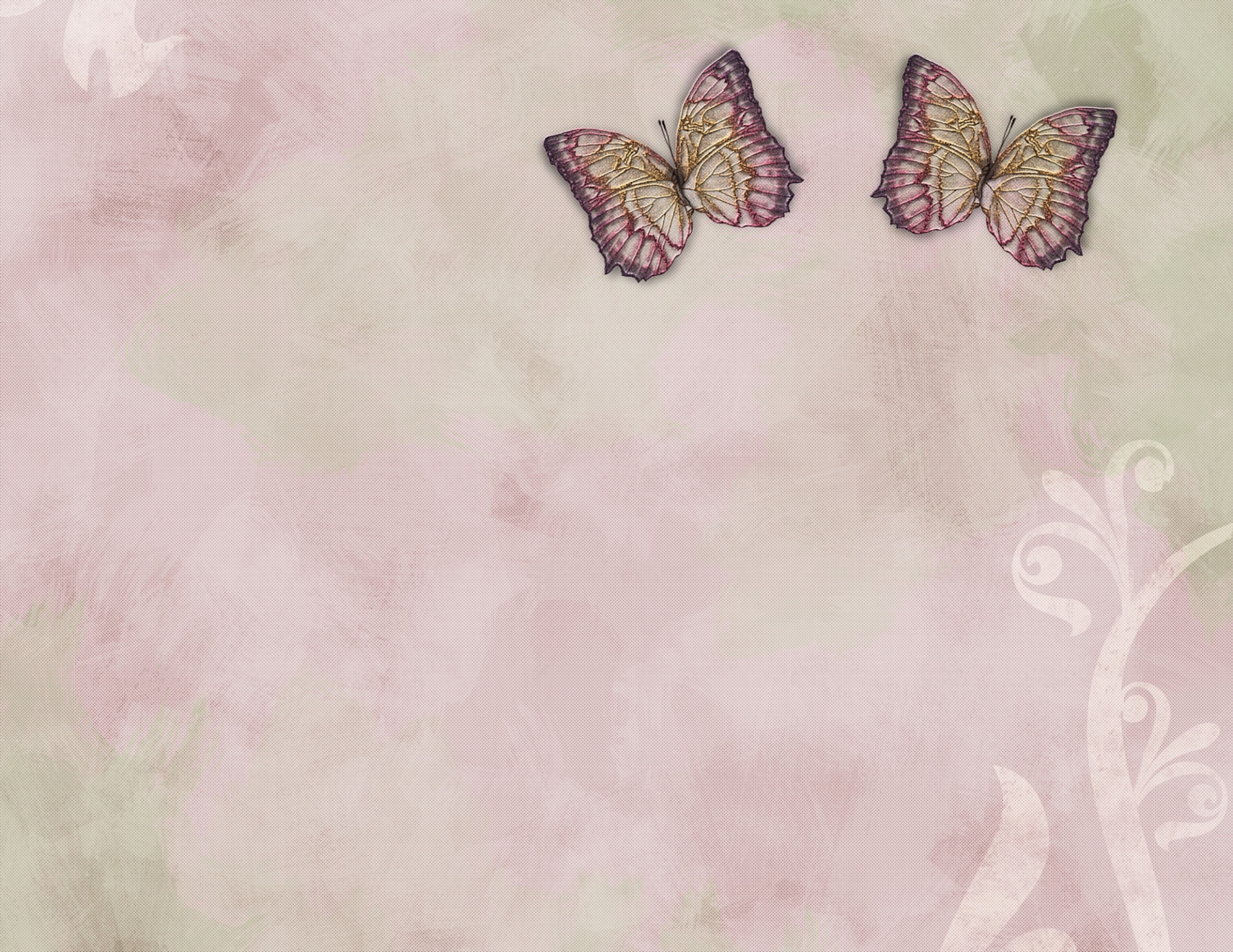 二匹の蝶
