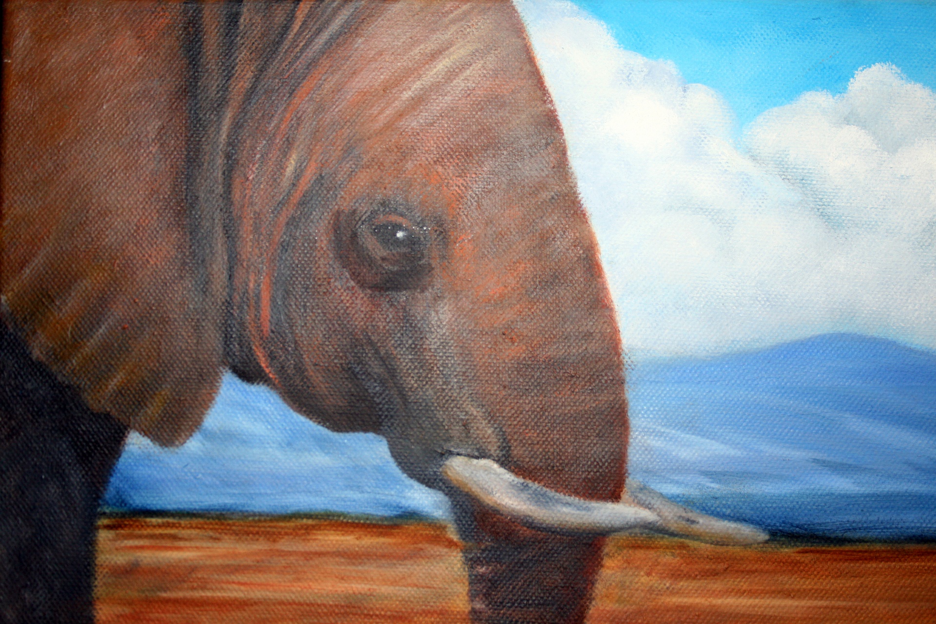 Elefante africano em óleo sobre tela
