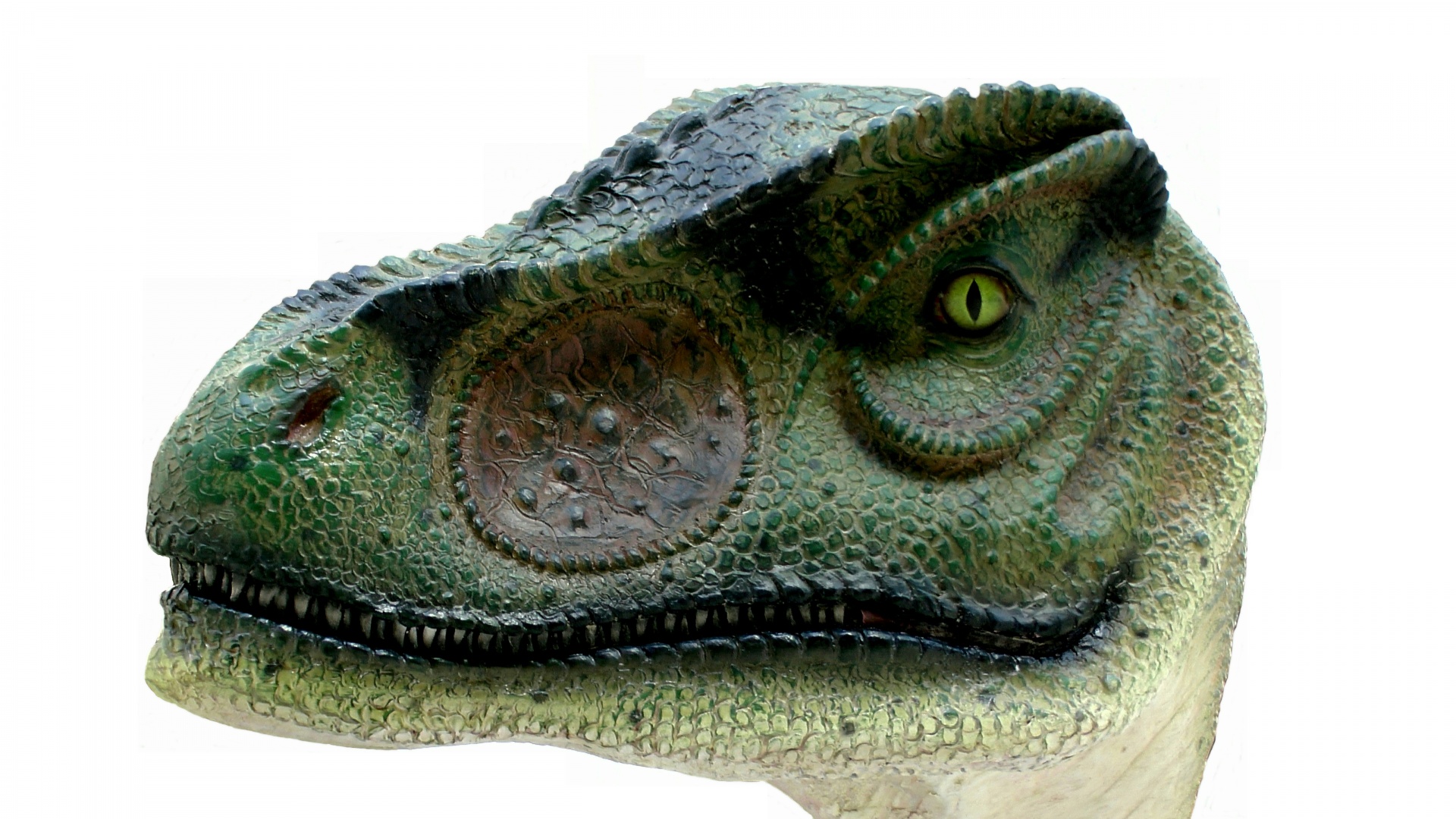 アロサウルス恐竜ヘッド