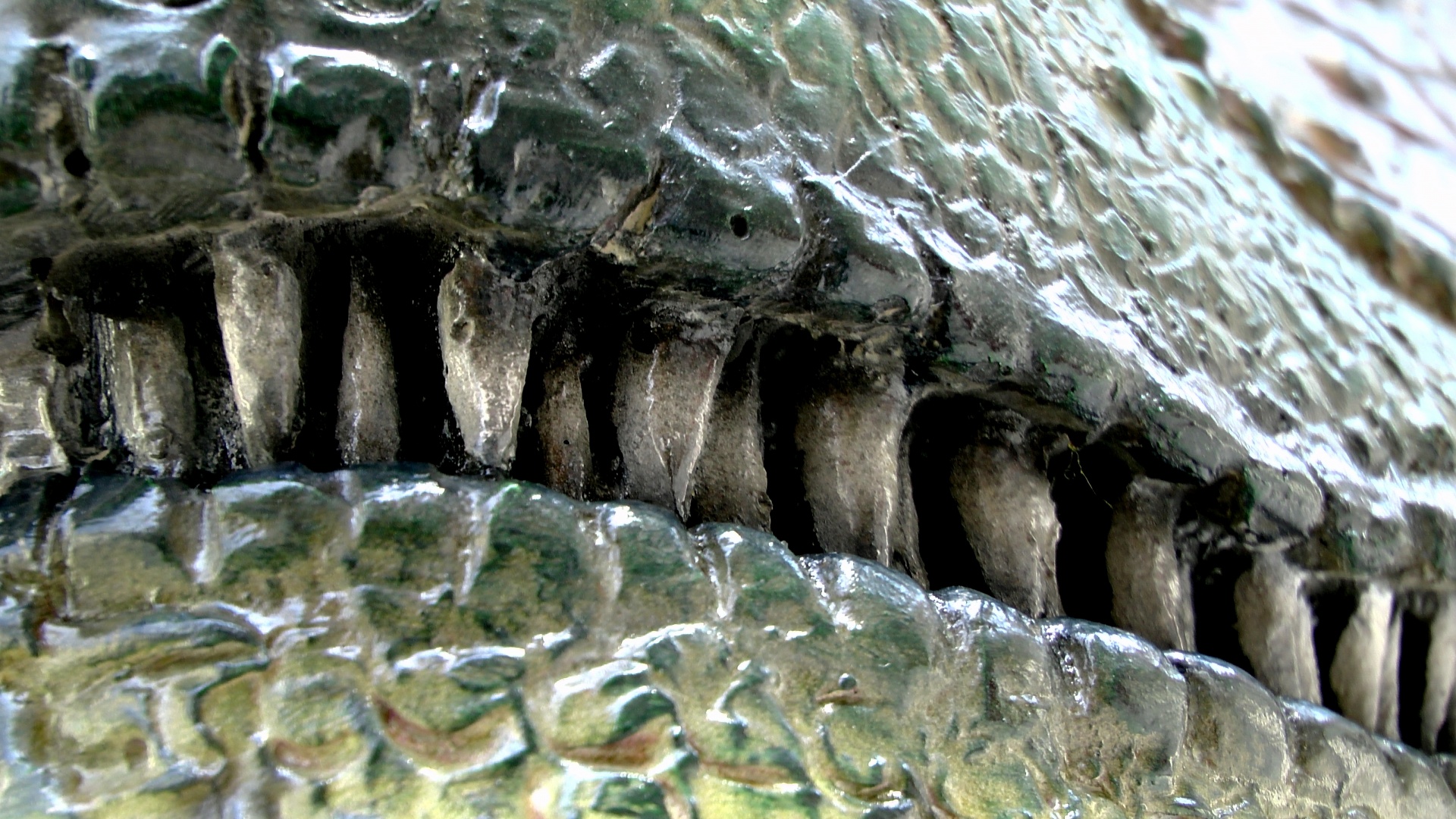 Allosaurus Dinosaurier-Zähne